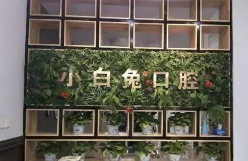 延安小白兔口腔医院怎么样?做牙齿种植项目好不好?医院介绍附案例和价格表!(图1)