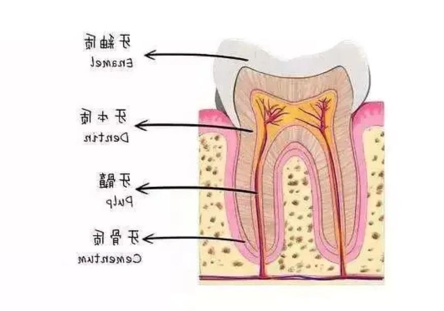 呼和浩特市牙齿矫正医院大比拼:华医、欧贝、朝悦、优洁哪家强?(图2)