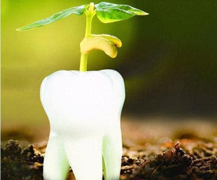 南昌种植牙医院排名揭晓:维乐、达芬奇、鼎植三强鼎立(图1)