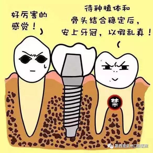 平阳县口腔种植领域十佳医院推荐(图1)