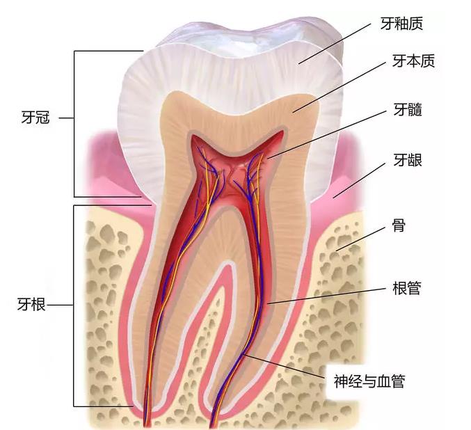 北京顶尖私立口腔医院大比拼:患者信赖之选(图2)