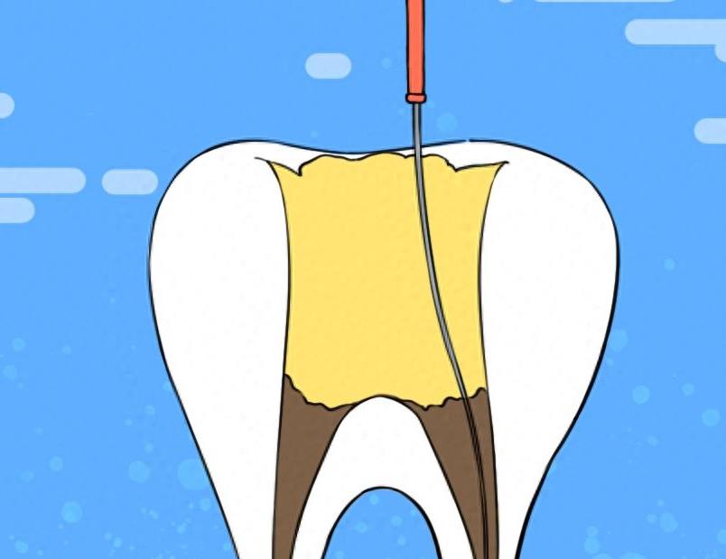 西安诺贝尔牙科连锁:正规与价格并重的口腔健康守护者(图1)