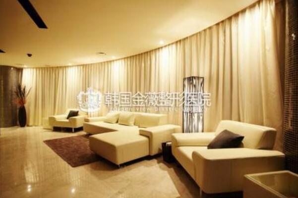 2024年韩国玻尿酸注射医院排名TOP20推荐,哪家技术更胜一筹?(图1)