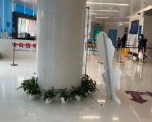 四川口腔医院有几家分院?有3家,分享地址+乘车路线+医生简介(图2)