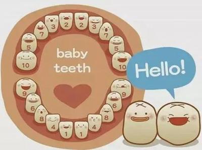 种植牙与烤瓷牙有什么区别?从优缺点全面解析种植牙与烤瓷牙的不同选择!(图3)