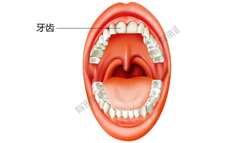 广州沁美口腔补牙怎么样?专业正规的口腔医疗机构值得患者信赖(图3)