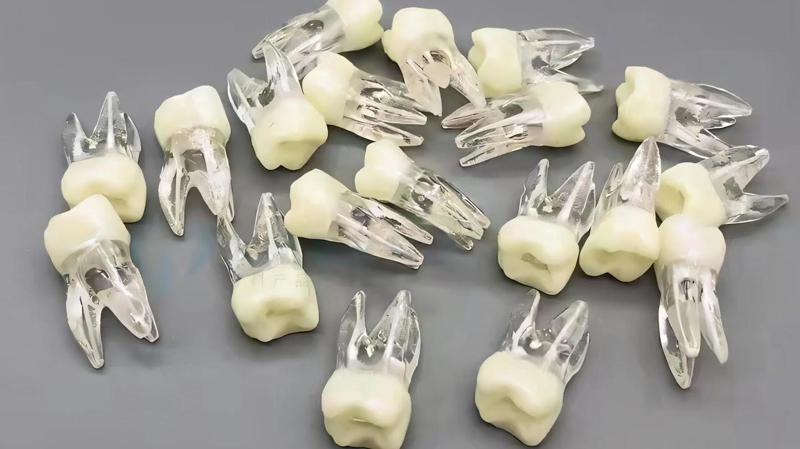 杭州西湖口腔医院怎么样?补牙-矫正-种植收费明细,价格透明!(图2)